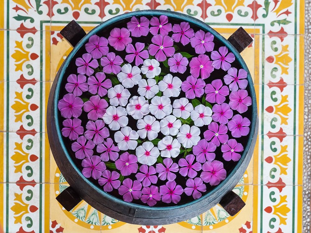 Asia-Vietnam-Mui Ne Pink and white flowers floating on water in a large pot art print by Merrill Images for $57.95 CAD
